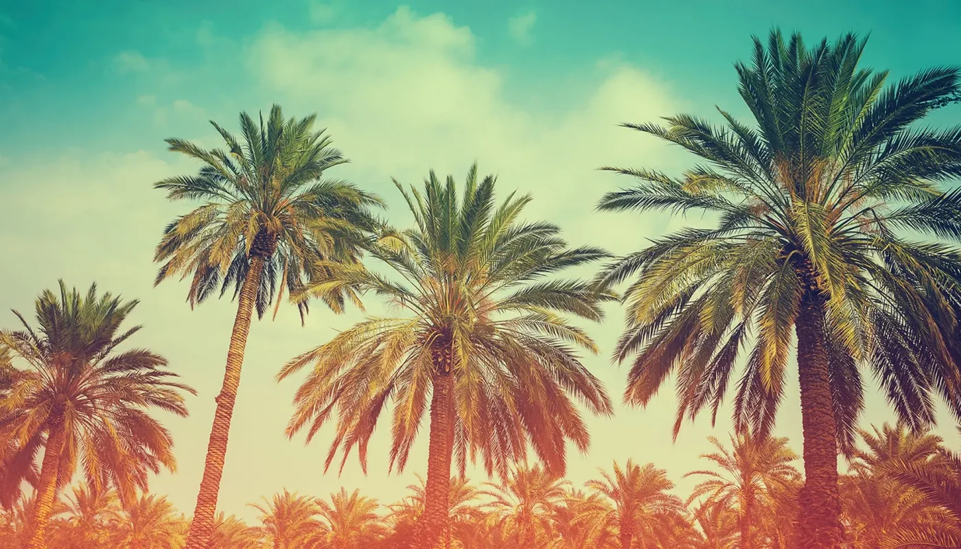 На странице «Детали»