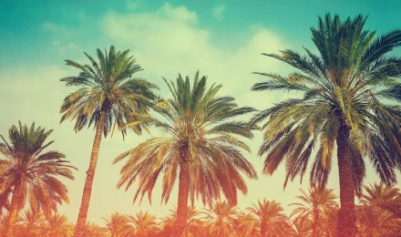 Это ваша первая запись.